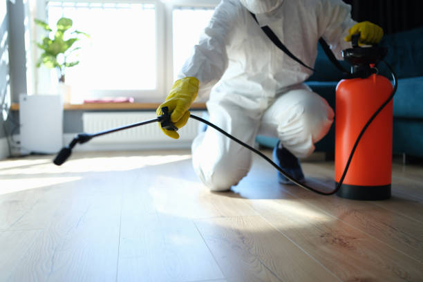 Reliable Biohazard Cleanup contractor in Lake Isabella, CA by Trauma Clean Pros